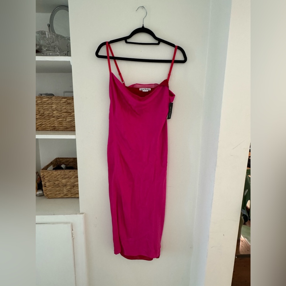 *AMAZING FIND!* Acne Silk Dress NWT!